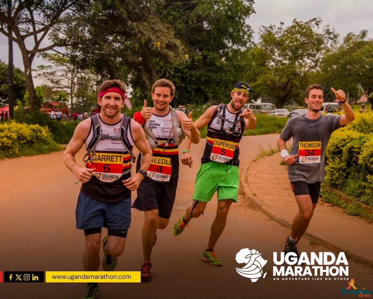 Humanity Direct tweet media