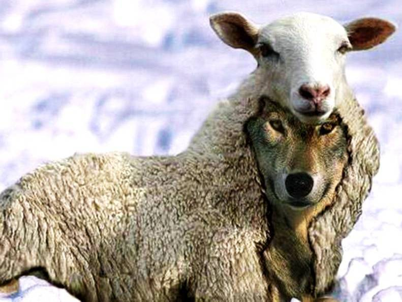 flaviofachel's tweet photo. Nesse domingo de oração e reflexão, lembre-se de Mateus 24:23-24: os falsos profetas estão por aí, dizendo exatamente o que você quer ouvir. Templos, roupas, músicas e pregações emocionadas não são garantia de nada. Ouça o seu coração. #Religiosidade https://t.co/3CaQDpCEa9