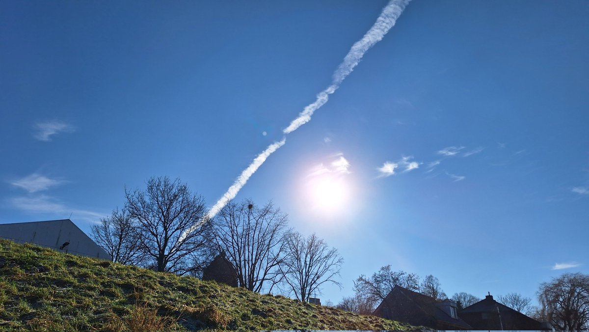 Ingrid 🌻 tweet media