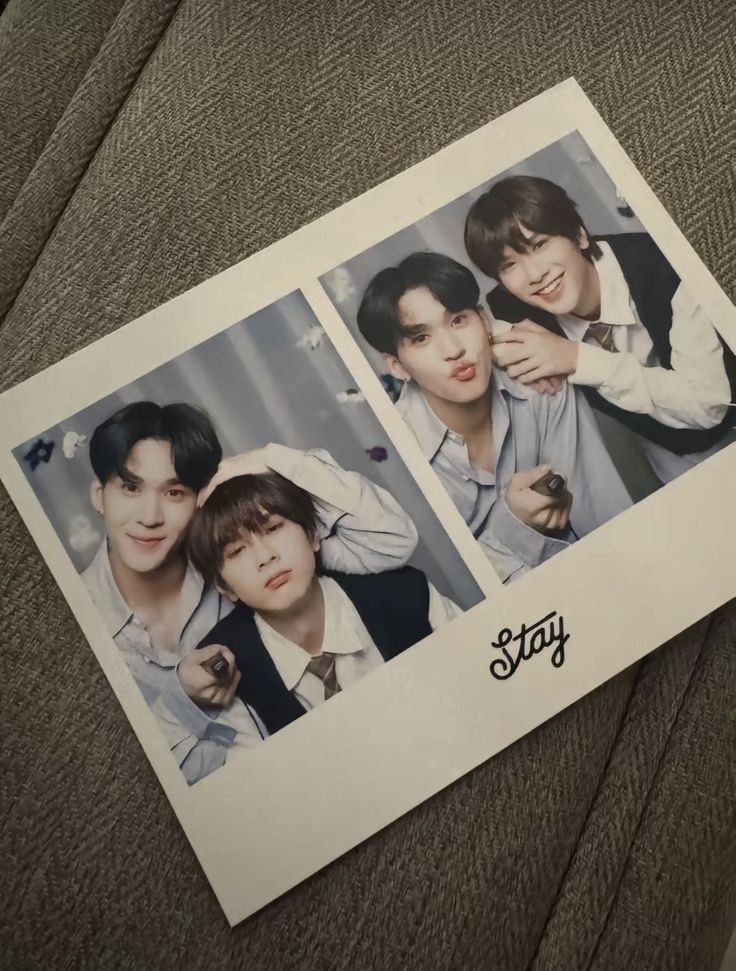 𝙎𝙚𝙛 tweet media