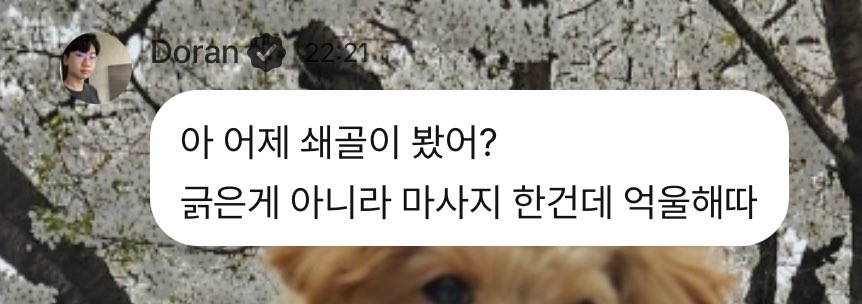 쇄골도 아니고 쇄골이는 뭐셈..?