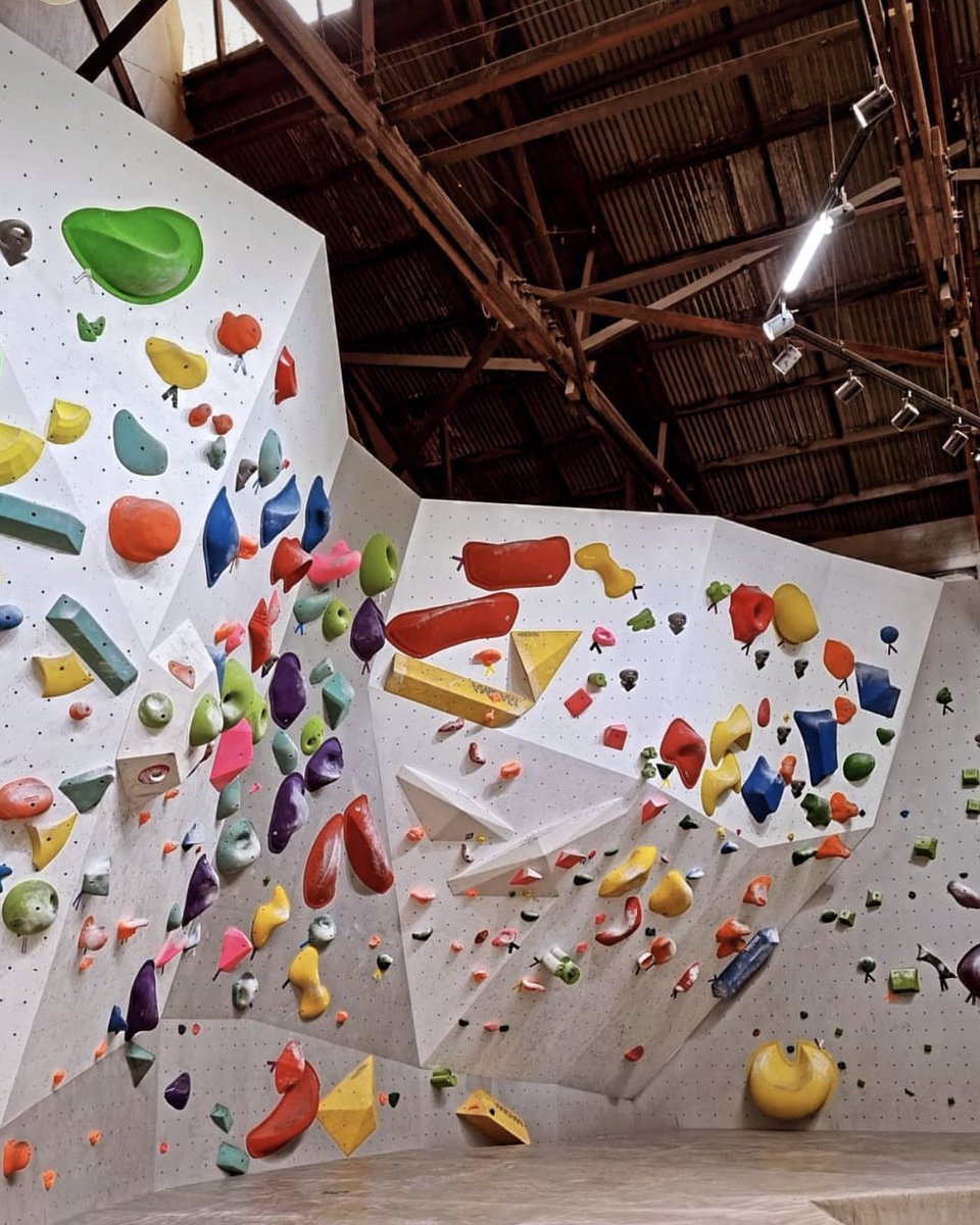 Шинэ хоббитой болоод завгүй байгөө