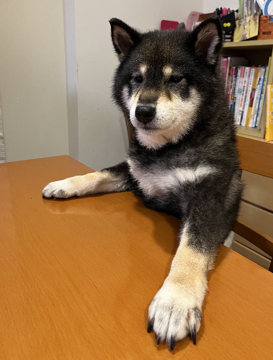 ann_onokoshi's tweet photo. 節分とやらを説明せい❗️ https://t.co/POUzCy7PBR