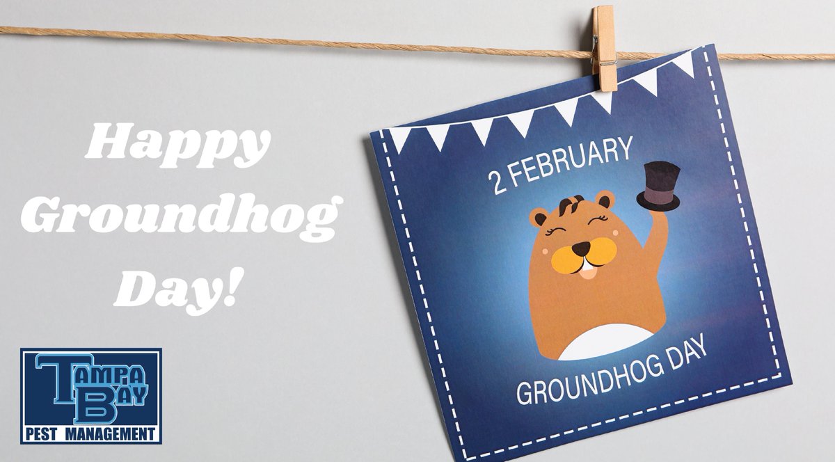 🌞 Happy Groundhog Day! Will we see 6 more weeks of winter or an early spring? 🐾🌷 Let's celebrate this fun tradition together! What's your prediction? 🤔 #GroundhogDay #SpringIsComing #WeatherWatch