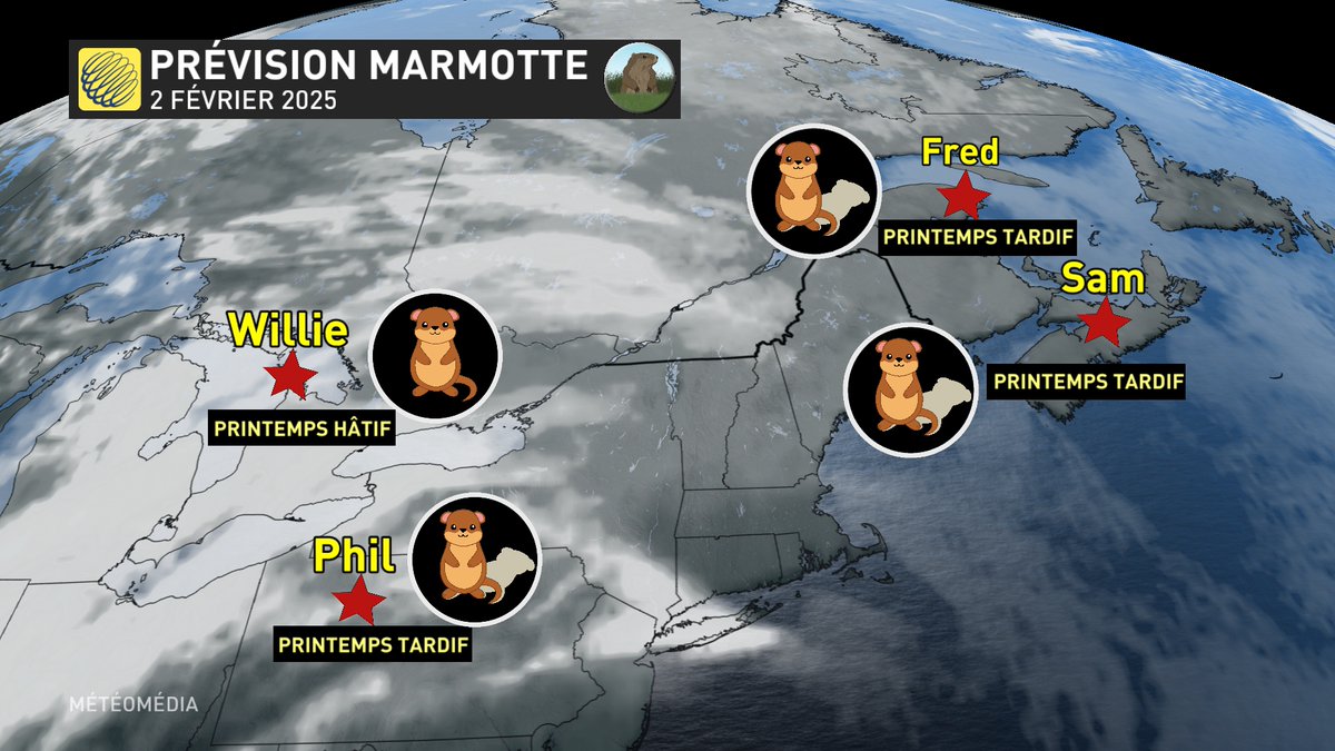 Les marmottes nous disent en ce 2 février 2025 que le printemps sera tardif. Encore l'hiver pour au moins 6 semaines car 3 d'entre les 4 principales ont vu leur ombre dans l'est du continent. 
#mm #meteoqc