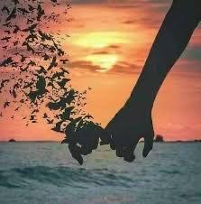 "وإن غاب نصفك الآخر إحذر أن تملأ فراغك بالعابرين". 
يسعدلي مسائگگگم🌹

#مساء_الخير