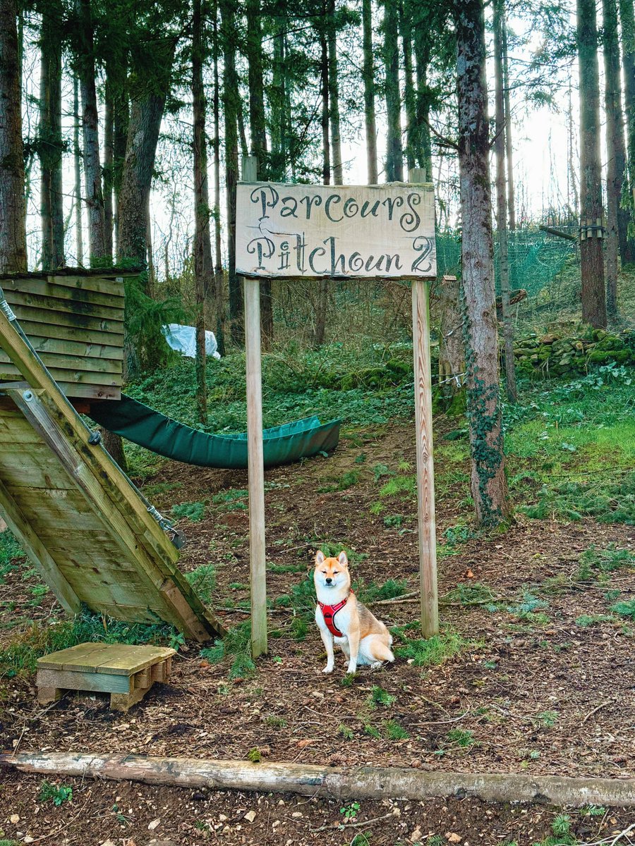 Graziella 🦖 tweet media