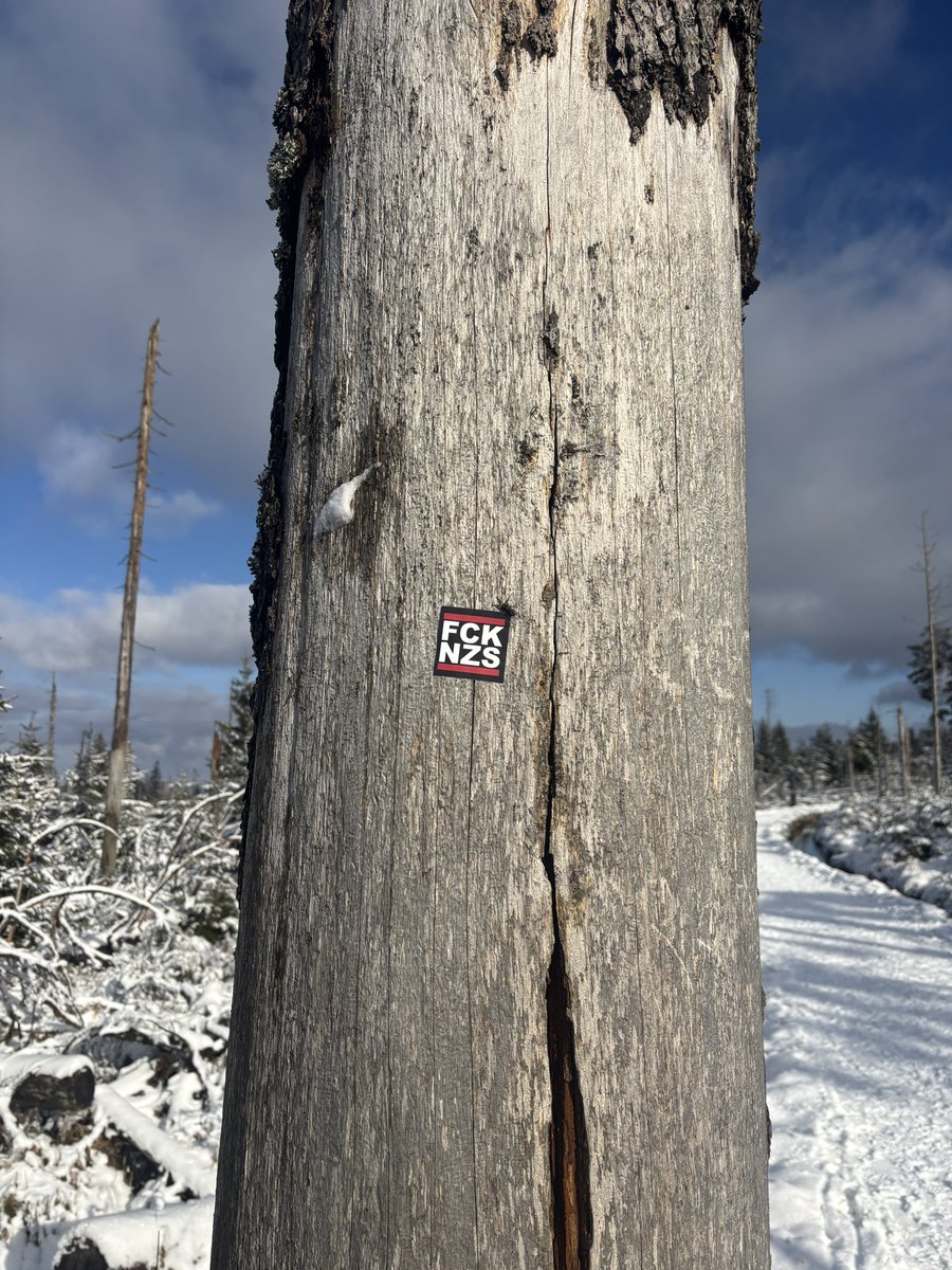 Patrick (@psiegm.bsky.social) tweet media