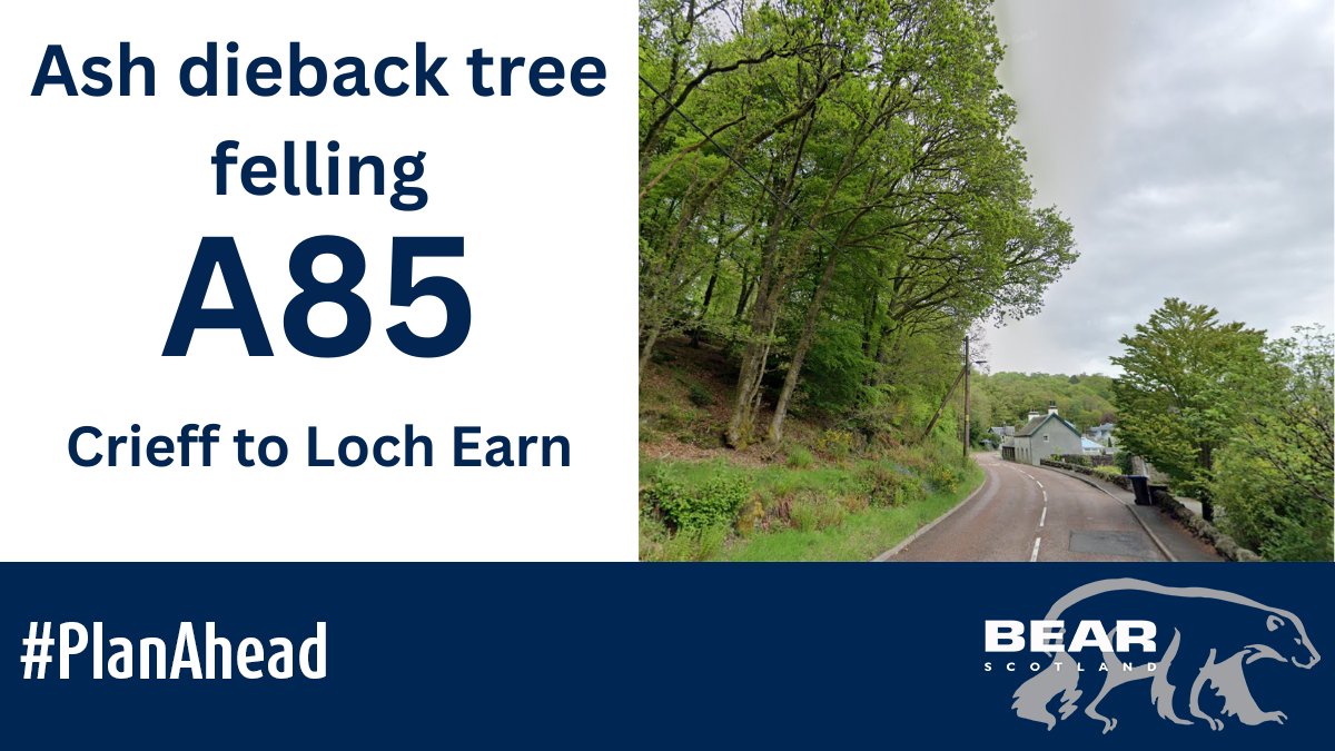 BEAR NW Trunk Roads (@nwtrunkroads) on Twitter photo Reminder: Overnight ash dieback tree felling on A85, Crieff to Loch Earn starts tomorrow, Monday 3 February.
🚧 Road closure with amnesty periods at 8pm, 9pm, 10pm, 11pm, midnight, 1am, 2am, 3am, 4am and 5am.
Full details: bit.ly/4hsjmsU
<a href="/trafficscotland/">Traffic Scotland</a>
#PlanAhead Reminder: Overnight ash dieback tree felling on A85, Crieff to Loch Earn starts tomorrow, Monday 3 February.
🚧 Road closure with amnesty periods at 8pm, 9pm, 10pm, 11pm, midnight, 1am, 2am, 3am, 4am and 5am.
Full details: bit.ly/4hsjmsU
<a href="/trafficscotland/">Traffic Scotland</a>
#PlanAhead