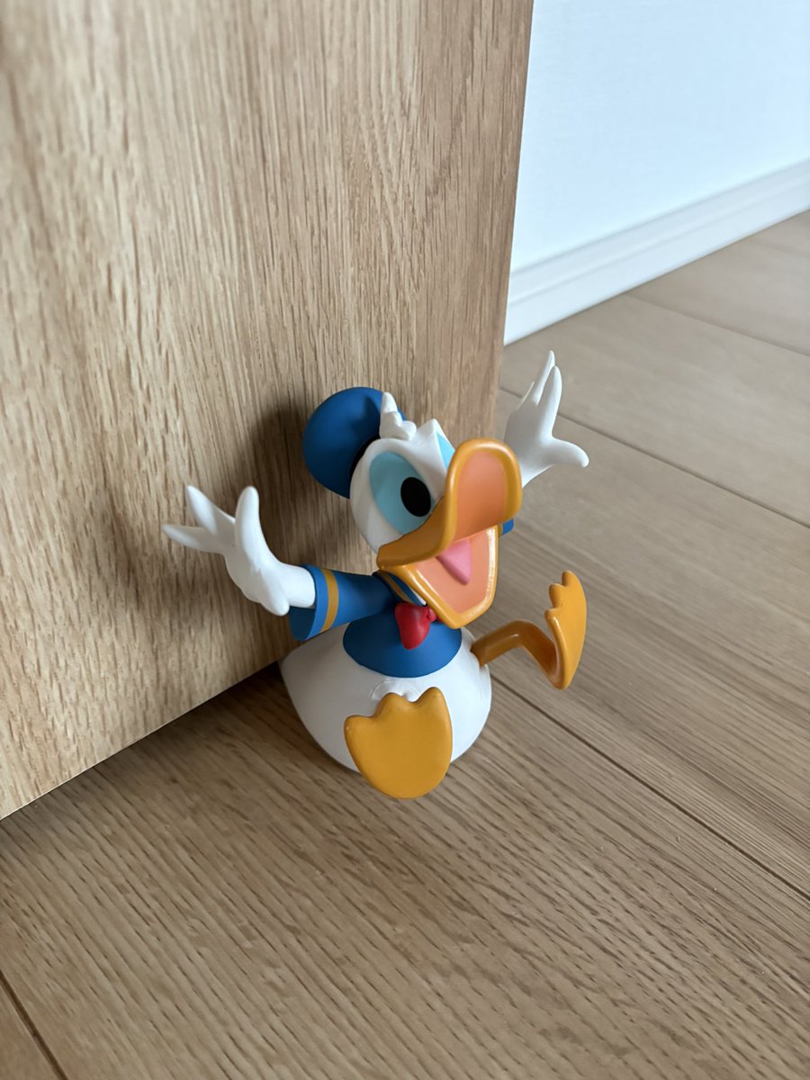 Post by ま に ゃ ろ ん@Fleuly on X: ほしい！！