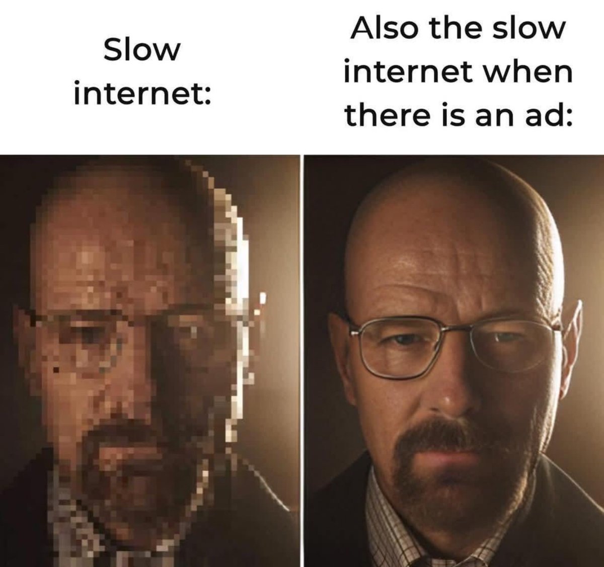 NoContextHumans's tweet photo. https://t.co/s05B1onmnE