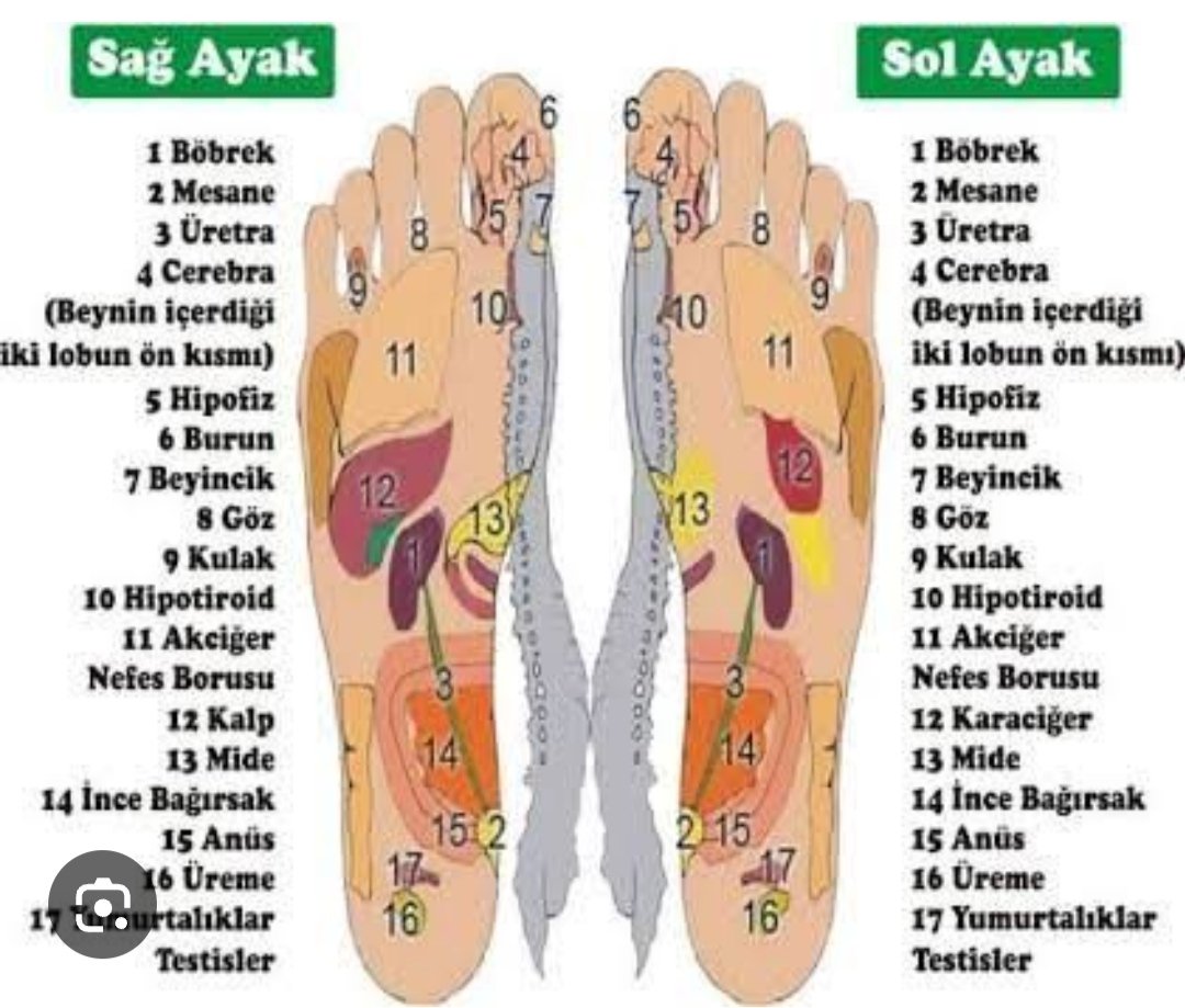 Sema Maraşlı tweet media