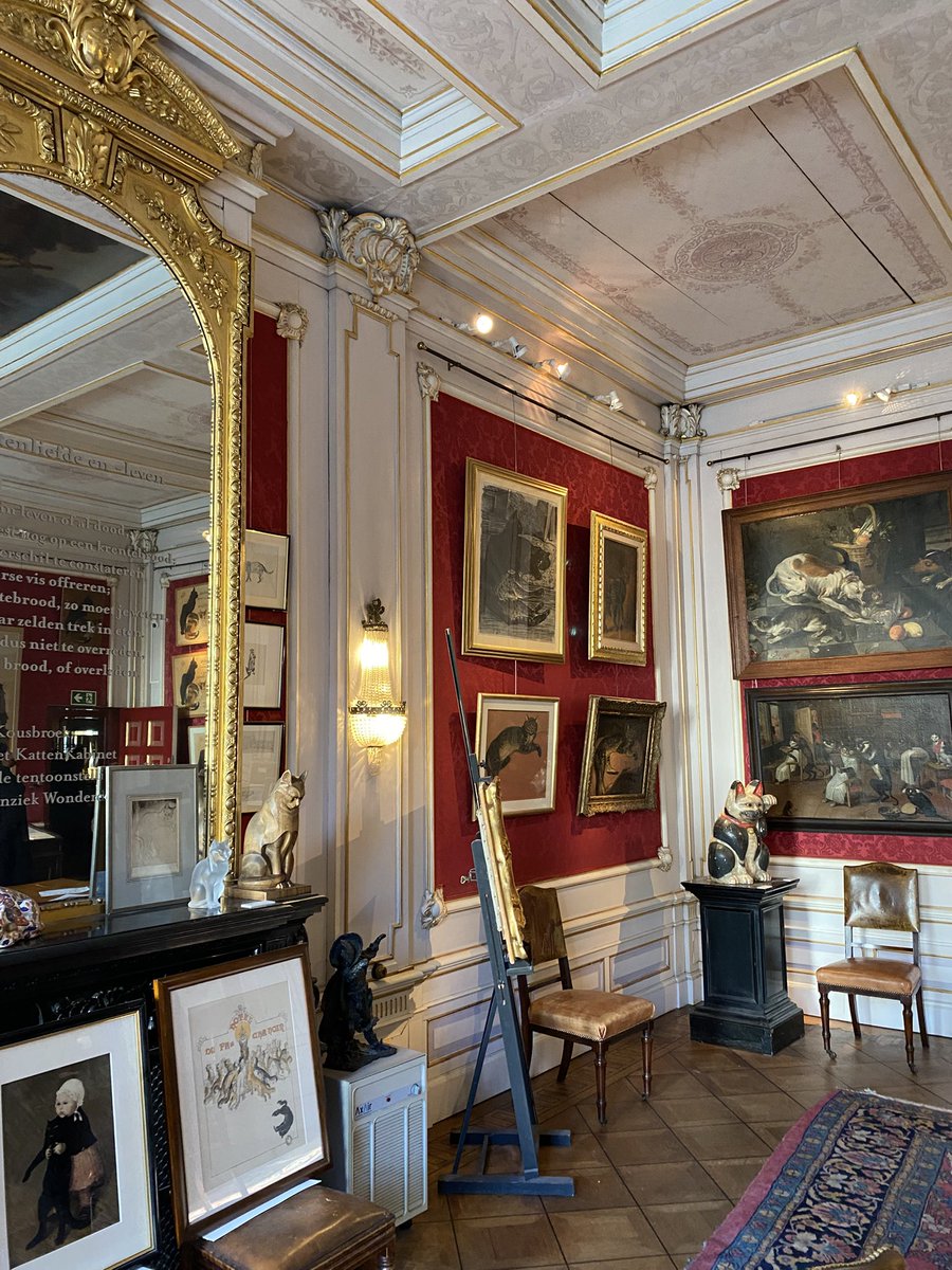 Schattig en een prachtig pand. #Kattenkabinet #Amsterdam