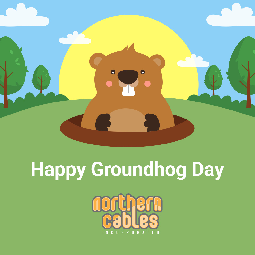 northerncables's tweet image. Will the groundhog see its shadow?

Whether winter stays or spring arrives early, Northern Cables is here with reliable, high-quality cables all year long.

#GroundhogDay #WinterOrSpring #NorthernCables