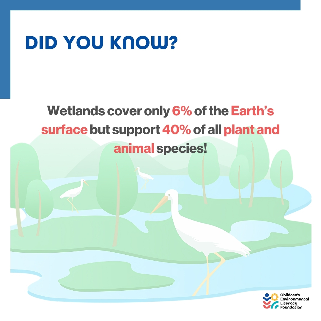 Children’s Environmental Literacy Foundation tweet media