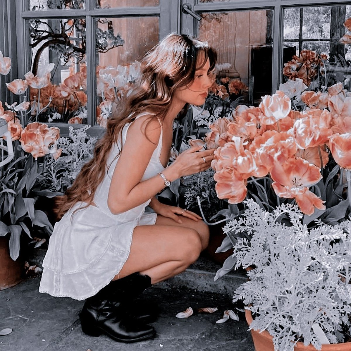 ᅟᅟᅟᅟ، ꪜ𝐨𝐥𝐜𝐚𝐧𝐢𝐜 𝐰𝐢𝐭𝐡 𝐞𝐥𝐞𝐠𝐚𝐧𝐜𝐞 tweet media