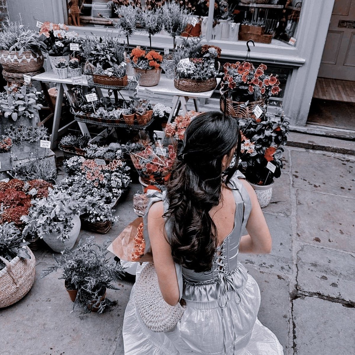 ᅟᅟᅟᅟ، ꪜ𝐨𝐥𝐜𝐚𝐧𝐢𝐜 𝐰𝐢𝐭𝐡 𝐞𝐥𝐞𝐠𝐚𝐧𝐜𝐞 tweet media