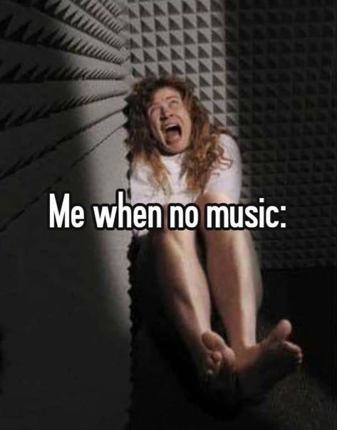 wildtiktokss's tweet image. 