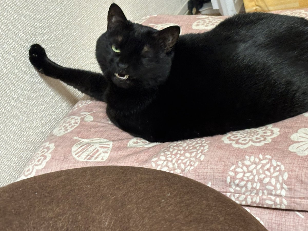 黒猫様♡ありがとうございます♡｜ノート・メモ帳
