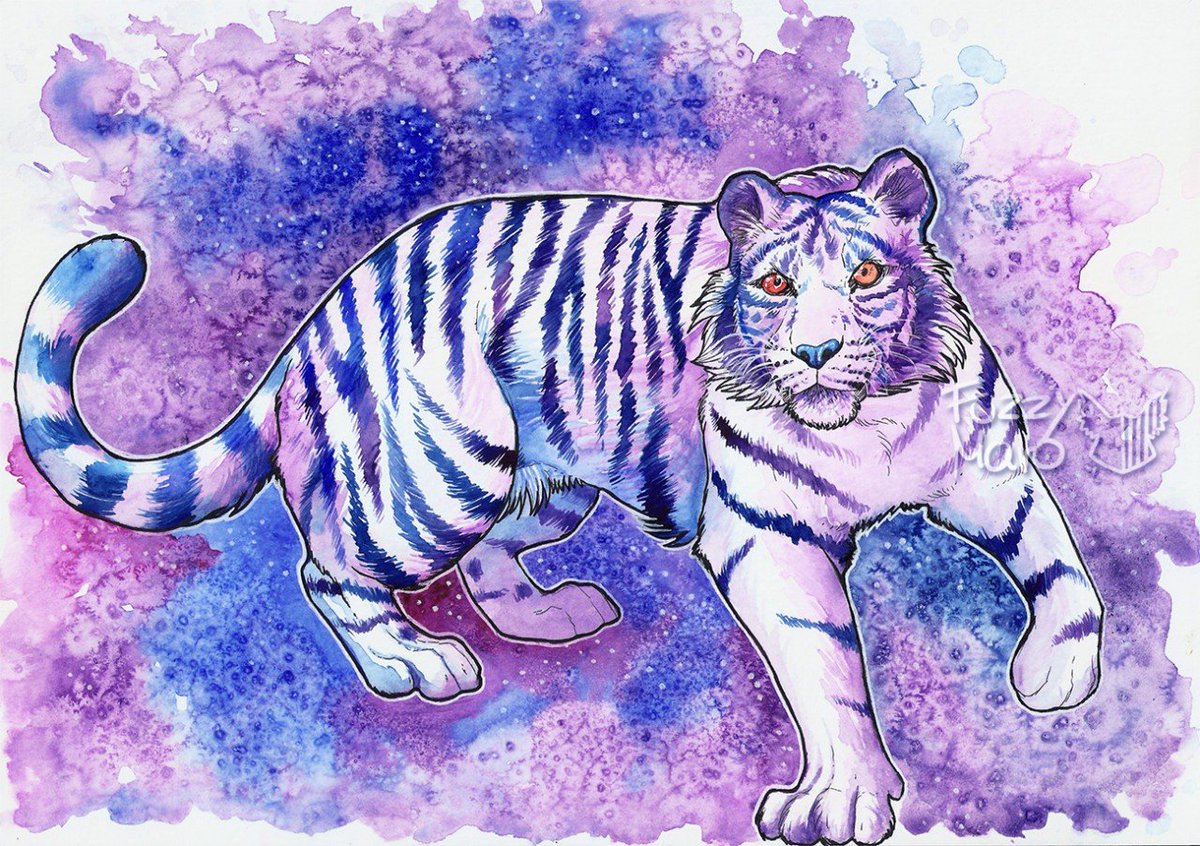 Fuzzy_Maro's tweet photo. ✨Cosmic tiger🌃 https://t.co/Mp0Ti1wmFz