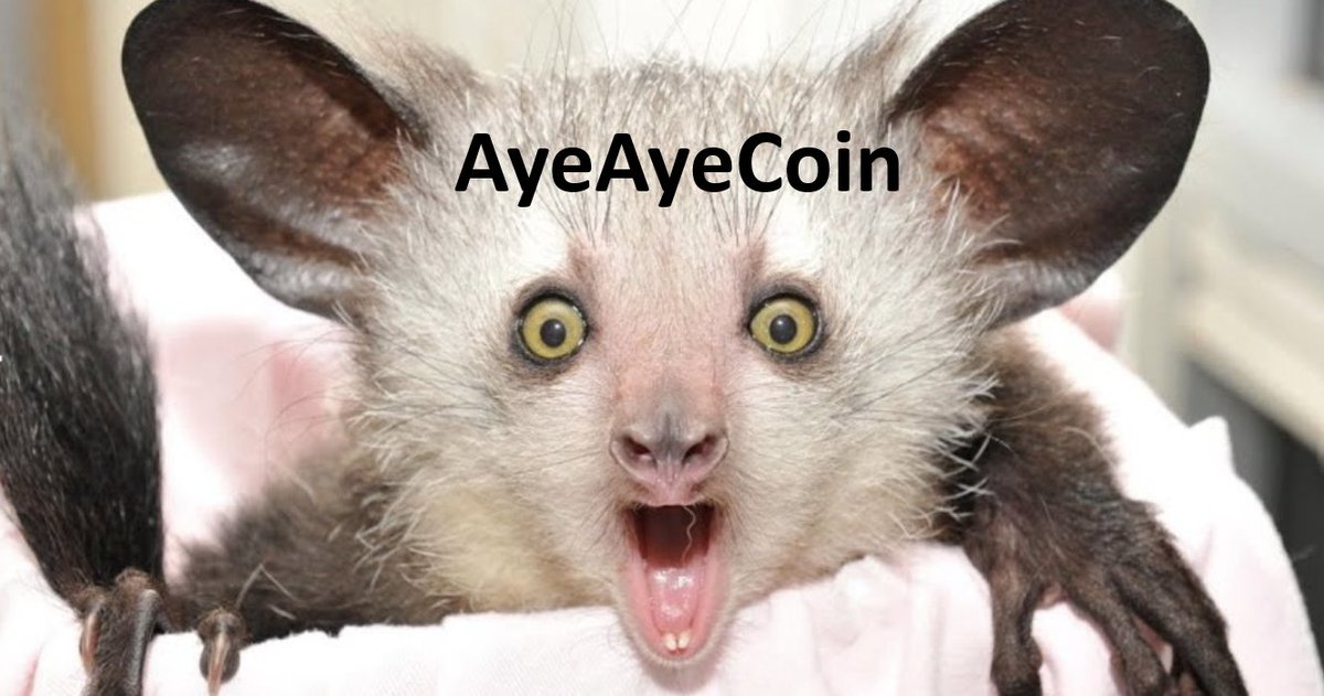 wugamlo (@wugamlo) on Twitter photo From Faucet Drip to Cultural Artifact: The Accidental Immortality of Ethereum's First Memecoin
<a href="/AyeAyeCoin2015/">AyeAyeCoin</a>
mirror.xyz/wugamlo.eth/4i… From Faucet Drip to Cultural Artifact: The Accidental Immortality of Ethereum's First Memecoin
<a href="/AyeAyeCoin2015/">AyeAyeCoin</a>
mirror.xyz/wugamlo.eth/4i…