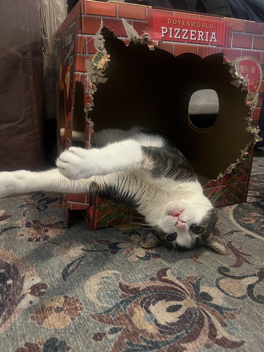 crashing out……..