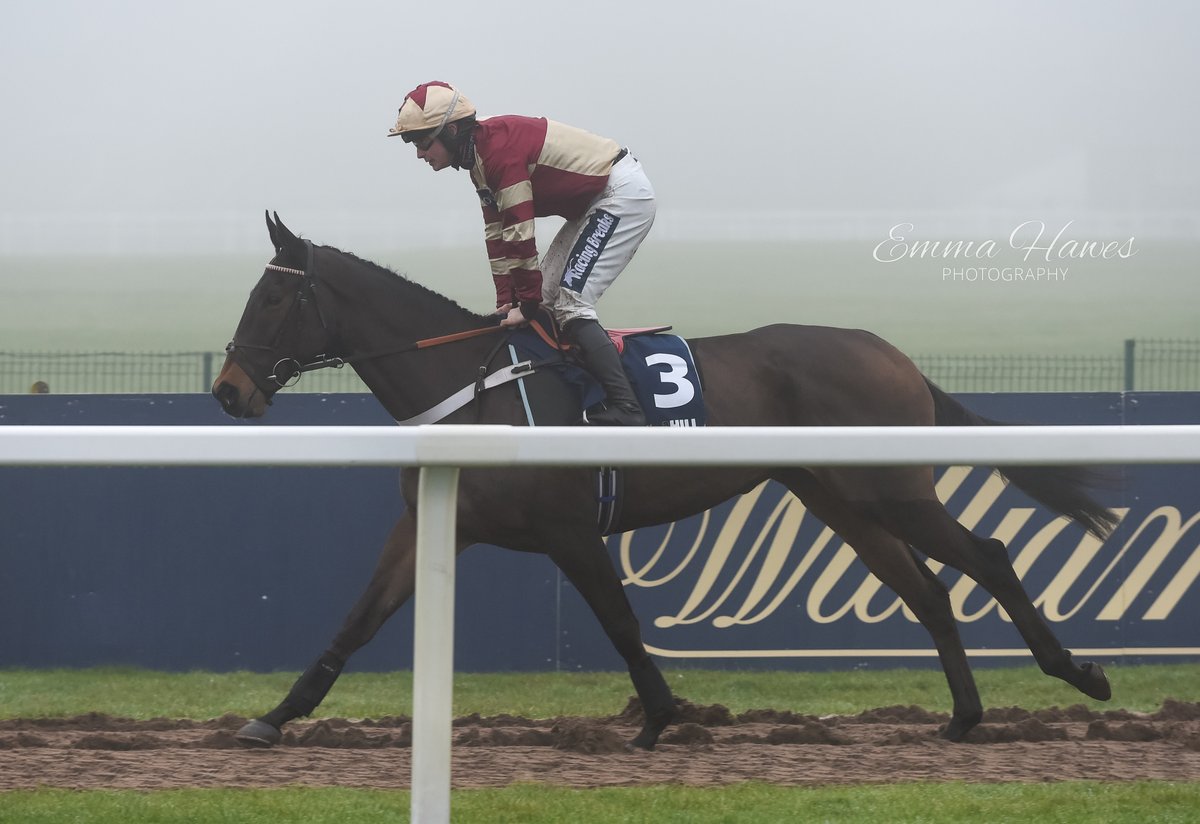 Fantastic run in 3rd from Good And Clever over at Leopardstown today. Another 3rd in a Grade 1 for this lovely horse!