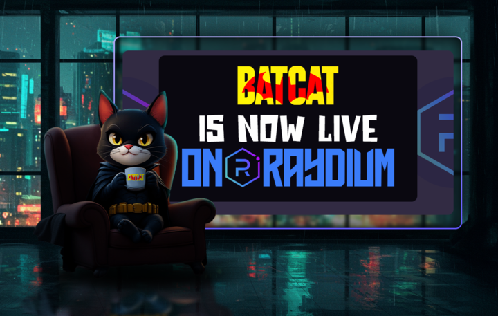 Bat Cat 🦇 tweet media