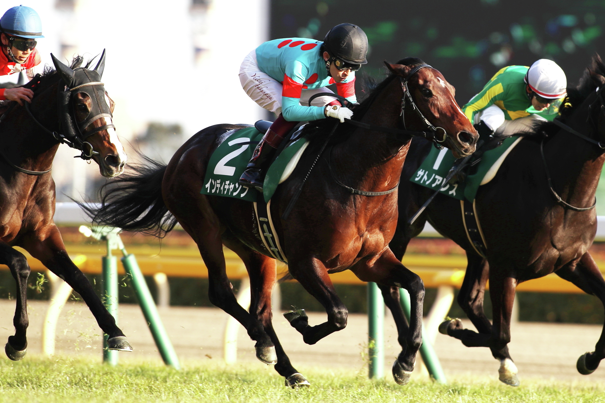 JRA-VAN公式 on X: JRA-VAN公式 on X: