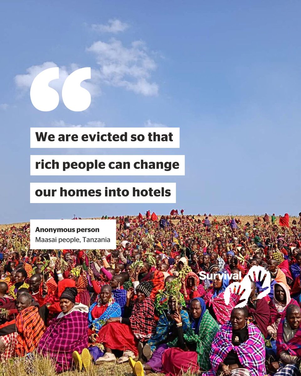 “We are evicted so rich people change our homes into hotels.” This sums up what the Maasai from the Ngorongoro Conservation Area are going through.

Indigenous peoples like the Maasai are being kicked off their ancestral lands to make way for luxurious safaris &amp; trophy hunting.