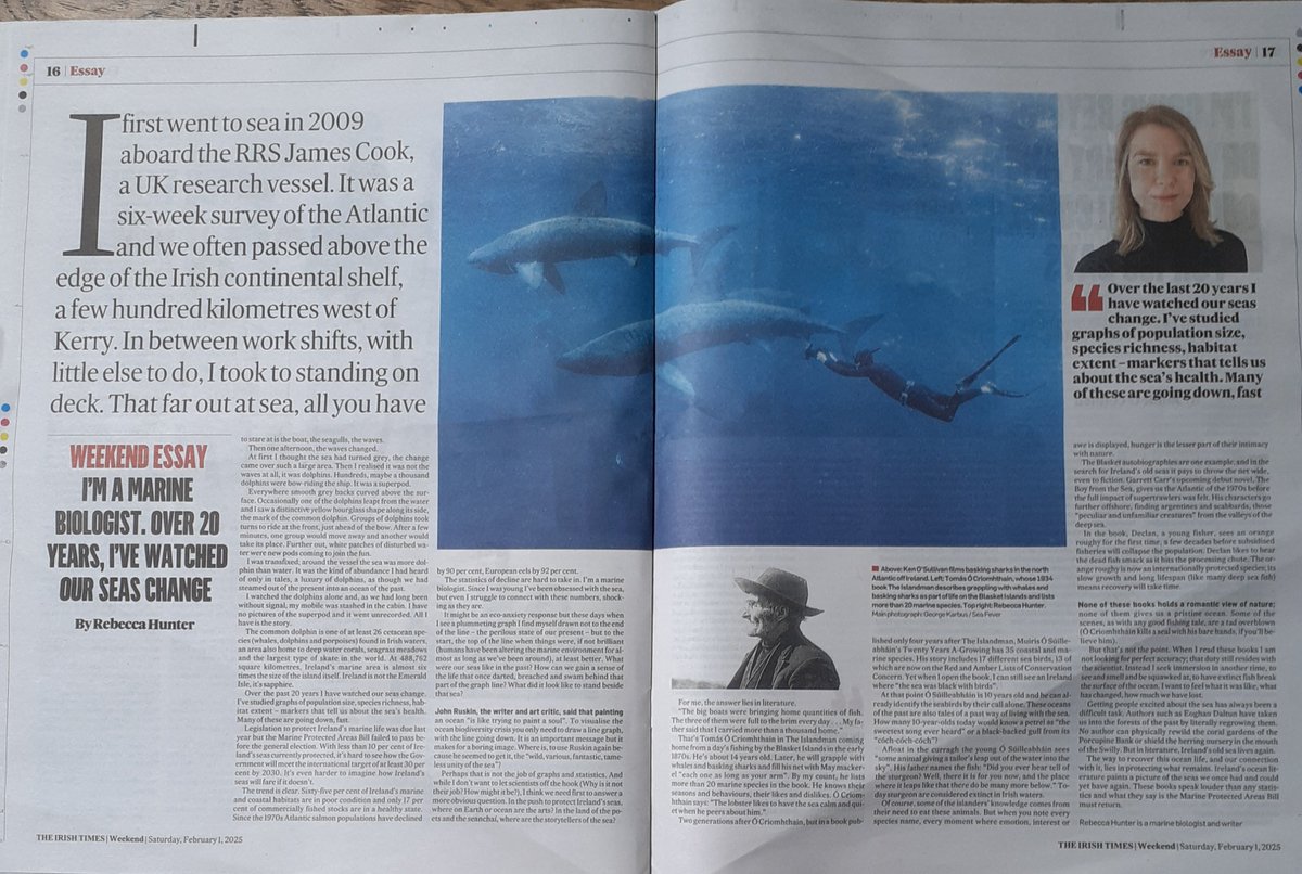 Rebecca Hunter, one of my PhD students, and a marine biologist, has a great essay in the Irish Times this weekend.