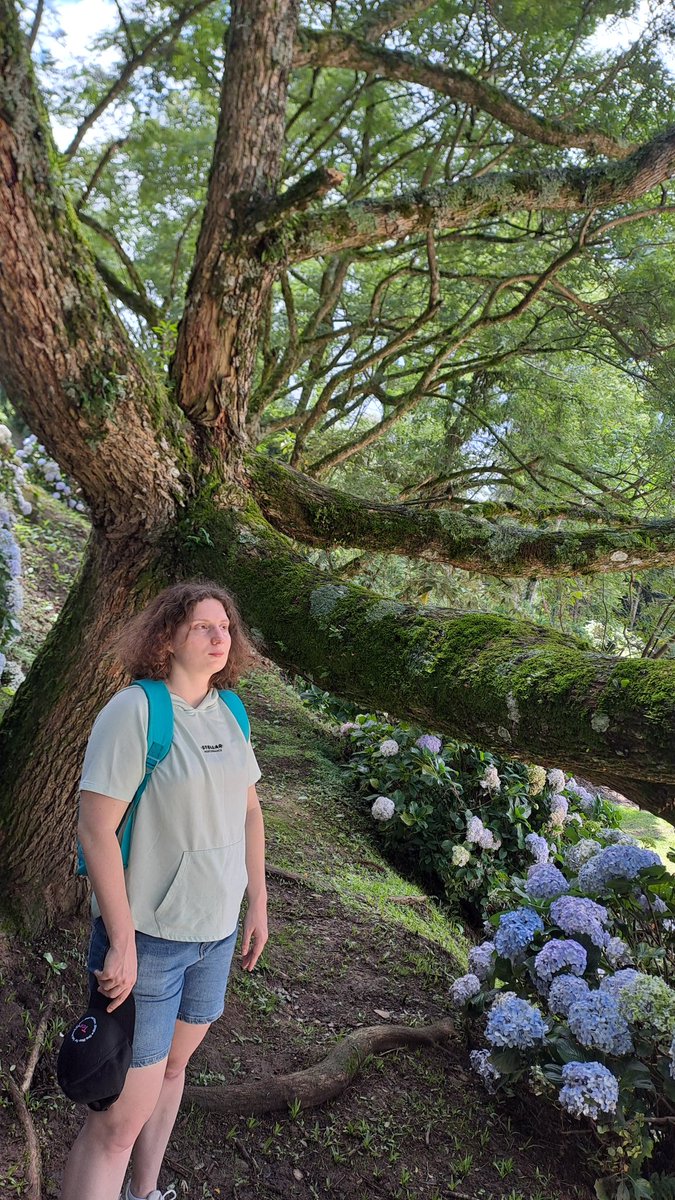 I am still alive as a dev... Smart contract raises me up...