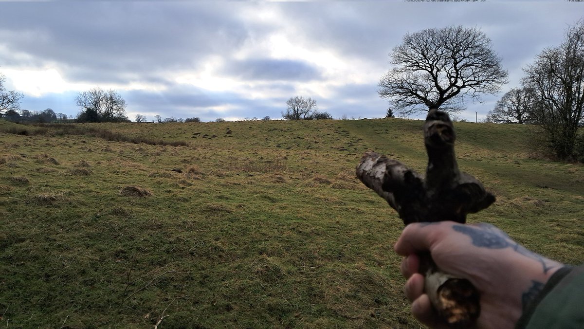 Jack Chapman tweet media