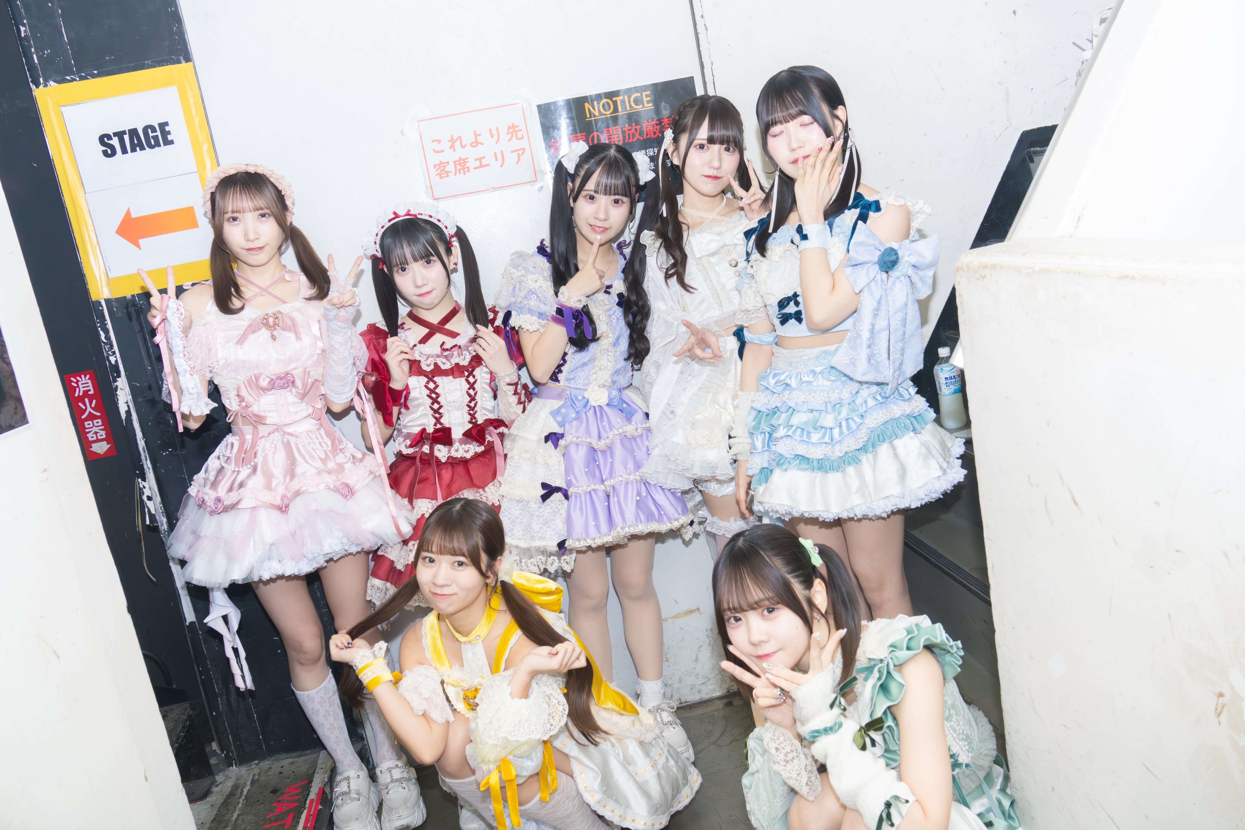 演劇、コンサート、発表会の記録写真撮影(東京・神奈川) 3ヶ月