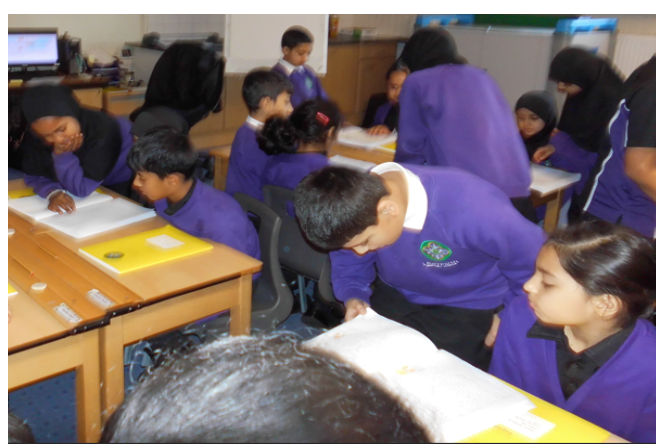 Ladypool Primary 🧡 tweet media