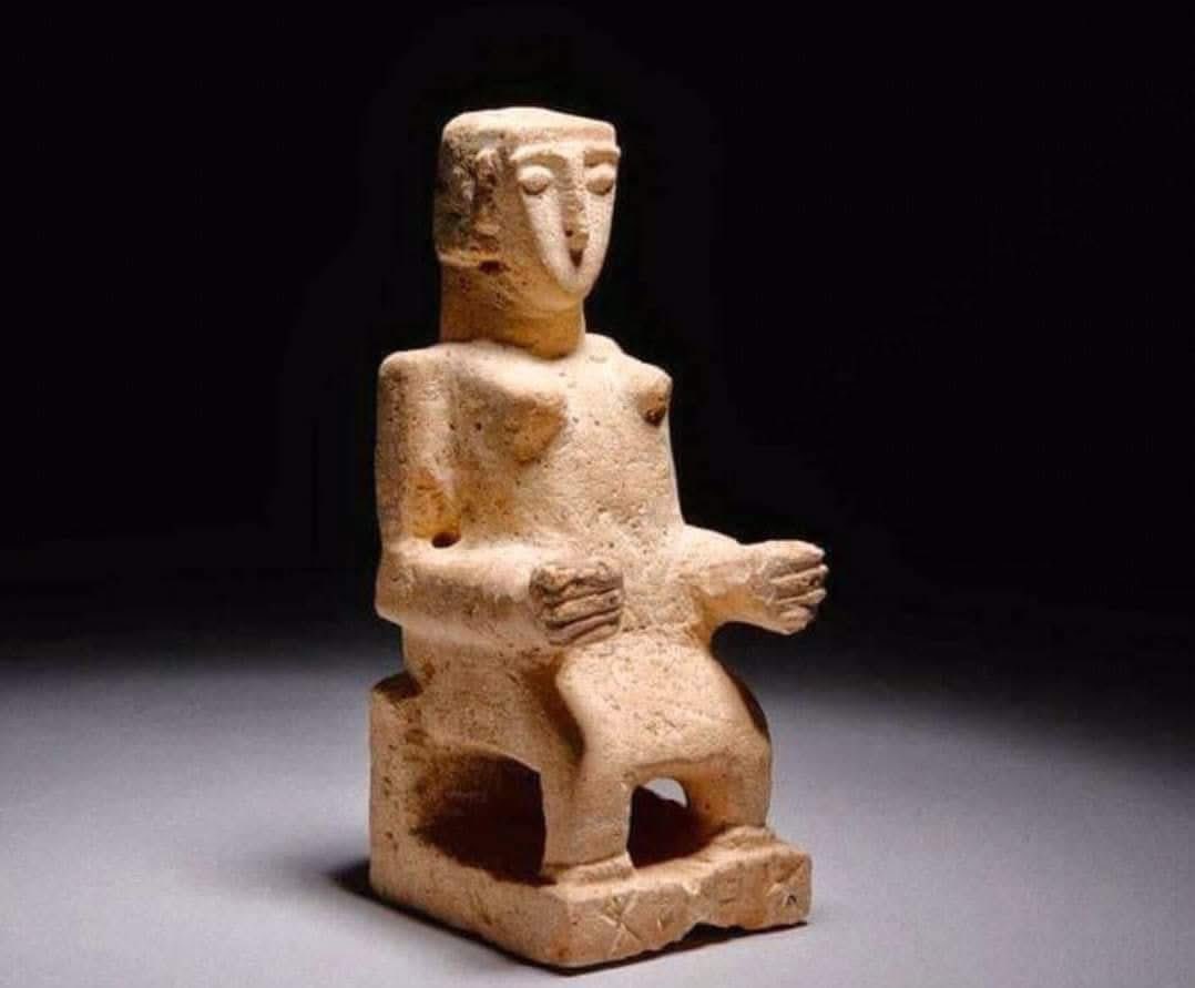 قبطي tweet media