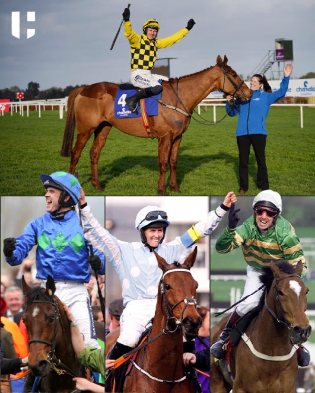 HorseRacing.net tweet media