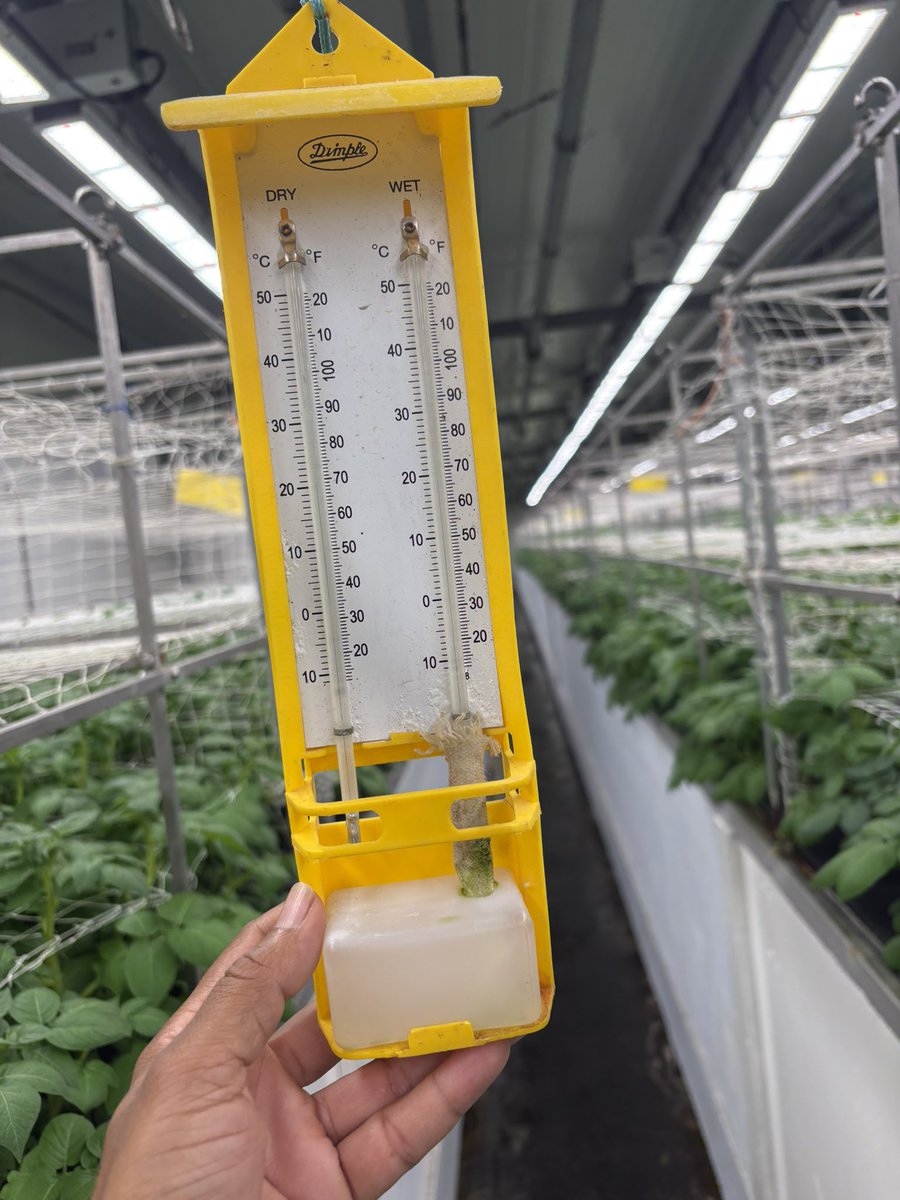 Who is interested in Modern farming ? 

Say hi in comment for the guide if you are interested!

#Farming #Agricultre #Agtech #NewsPotli