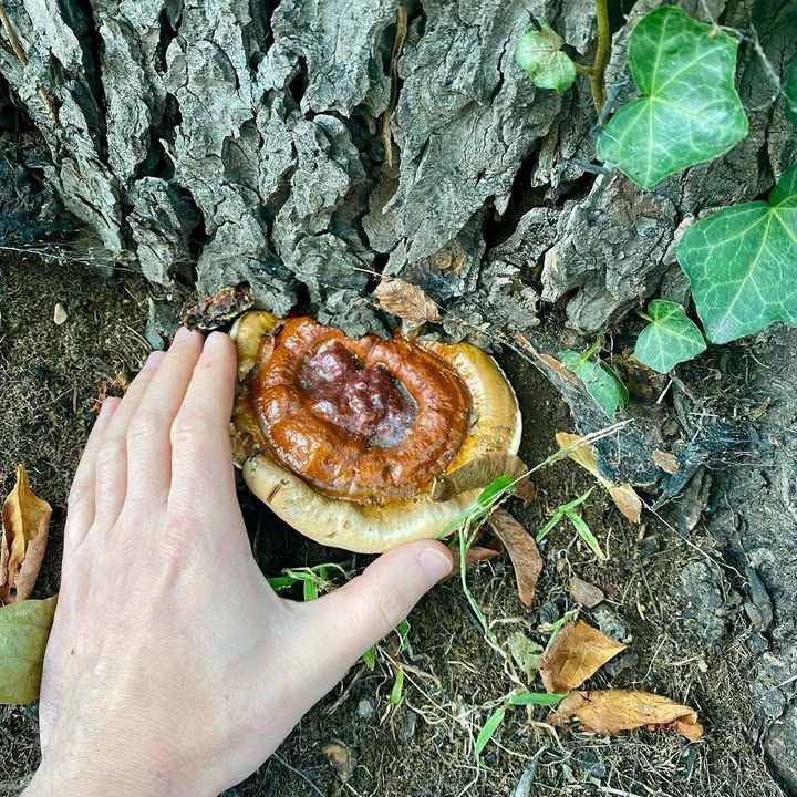 Keep it coming ❤️‍🩹💯