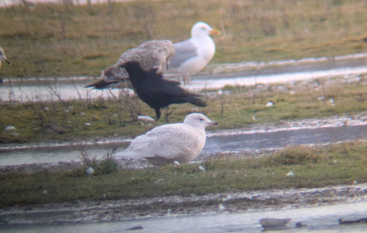 Paul Brook tweet media