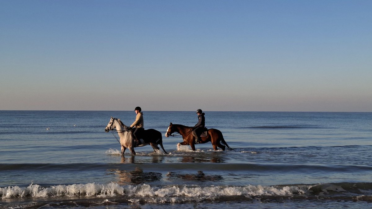 Bart Meert tweet media