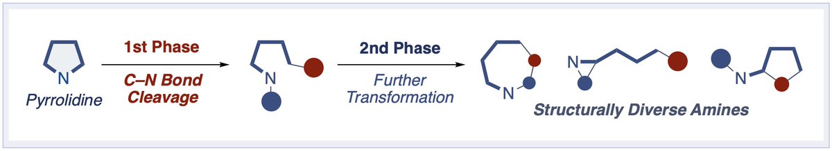 Yamaguchi Lab (@jyamaguchilab) on Twitter photo Happy to share our review on "Recent Developments for the Ring Opening of Pyrrolidines and Unstrained Cyclic Amines via C–N Bond Cleavage" in EurJOC <a href="/ChemEurope/">Chemistry Europe</a> !!
Congrats to Eisuke !!
doi.org/10.1002/ejoc.2… Happy to share our review on "Recent Developments for the Ring Opening of Pyrrolidines and Unstrained Cyclic Amines via C–N Bond Cleavage" in EurJOC <a href="/ChemEurope/">Chemistry Europe</a> !!
Congrats to Eisuke !!
doi.org/10.1002/ejoc.2…