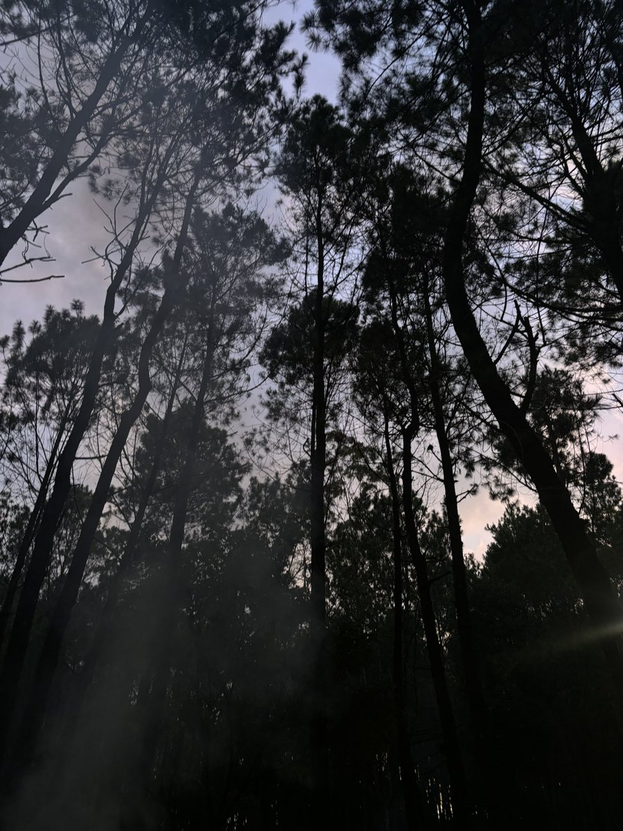 kath! (@rikidocx) on Twitter photo 