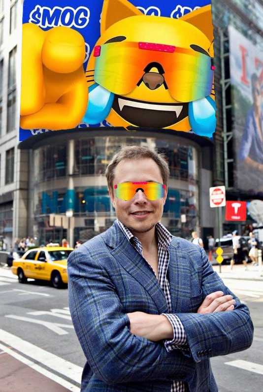 OG MOG SOL CTO tweet media
