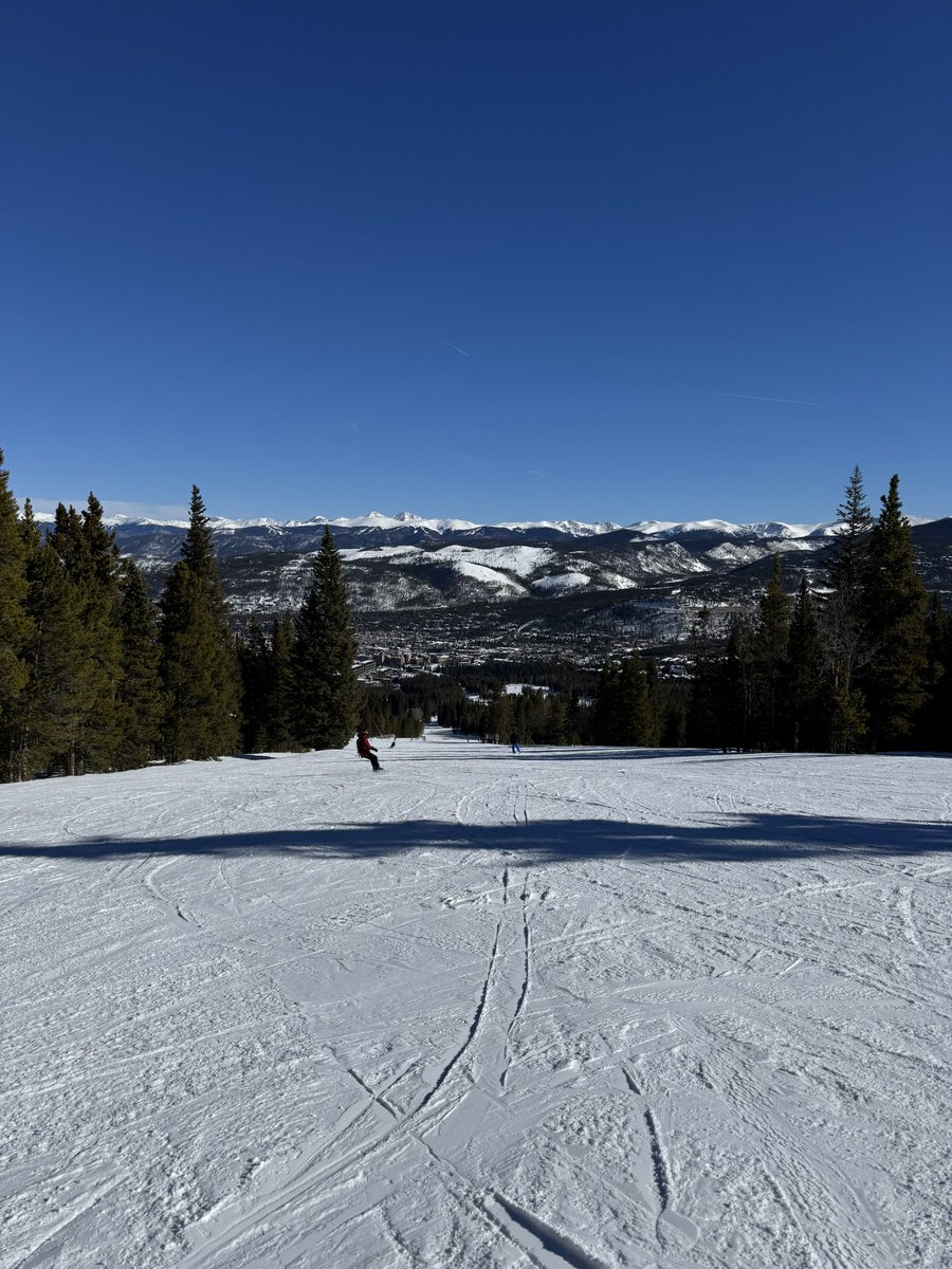 Michael K tweet media