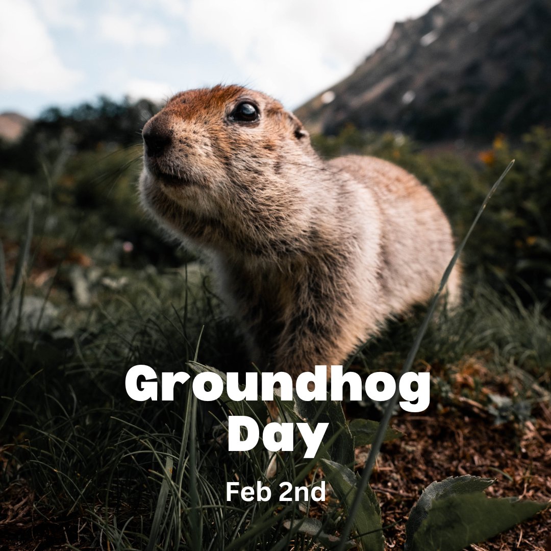 EmeraldRealtyMI's tweet photo. Every February 2nd, the United States and Canada mark Groundhog Day, an annual tradition in which a groundhog predicts whether winter will continue or give way to spring soon. 

The most famous prognostication in the US is held at Punxsutawney town (pronounced https://t.co/fg77q0qrBH