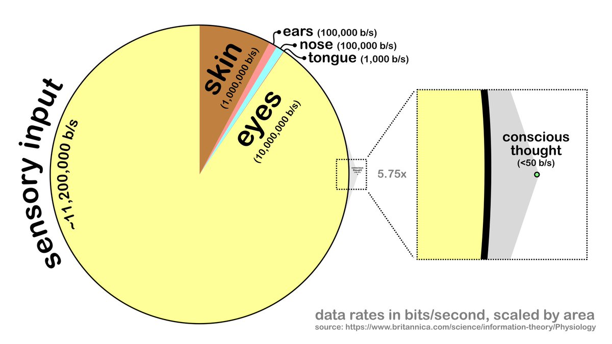 hinterlander (@yoltartar) on Twitter photo i didn't truly get how much compression the mind is doing until i made this graphic for a blog post, hard to even show the scale difference across this many orders of magnitude i didn't truly get how much compression the mind is doing until i made this graphic for a blog post, hard to even show the scale difference across this many orders of magnitude