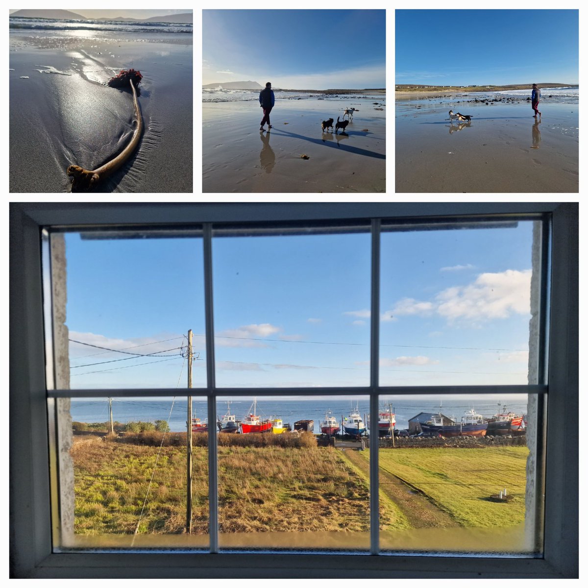 Chilling in the wilds of Mayo
Daytime sunshine before the wind and rain returned this evening 
#blacksod #mayo