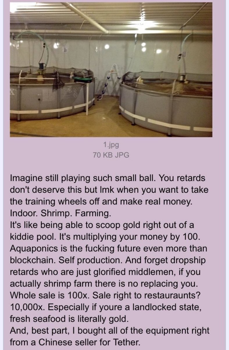 AutismCapital's tweet photo. If you’re willing to work. And have the heart. We’re willing to tell you the secret: Indoor. Shrimp. Farming. Liquid gold, baby. 🦐 https://t.co/hHiVHwYvWq