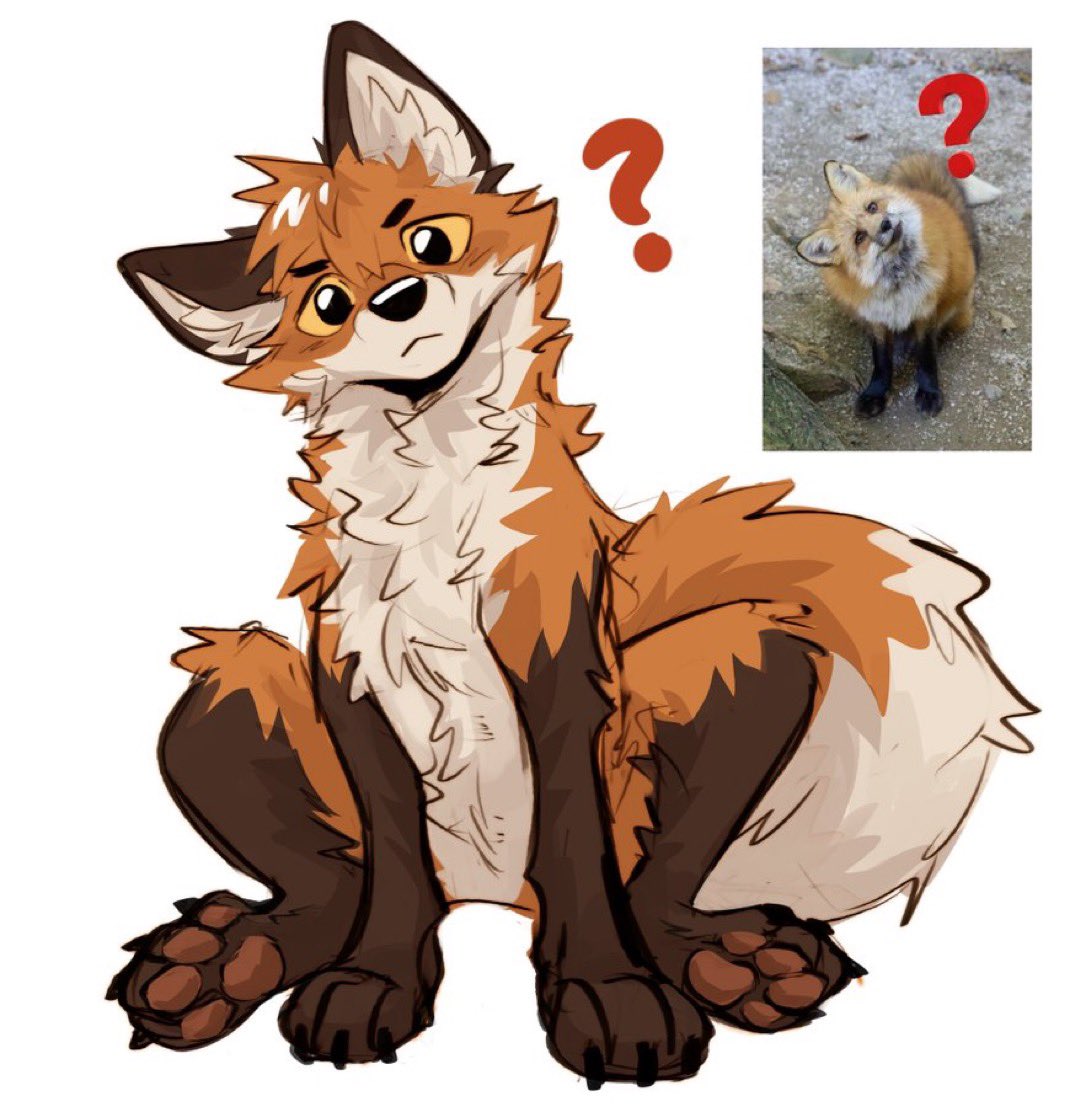 Did you miss him guys? He's back! Send me pictures of silly foxes and I'll choose some to draw Pedro like them! 🦊